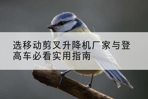 云阳电动升降机厂家-选移动剪叉升降机厂家与登高车必看实用指南