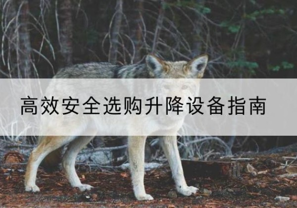 云阳升降货梯厂家推荐-*安全选购升降设备指南