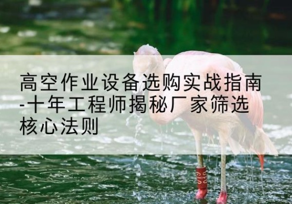 云阳剪叉式升降机厂家-高空作业设备选购实战指南-十年工程师揭秘厂家筛选核心法则